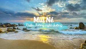 Bảng Giá Cho Thuê Xe 16 Chỗ Đi Mũi Né Phan Thiết Mới Nhất 2026
