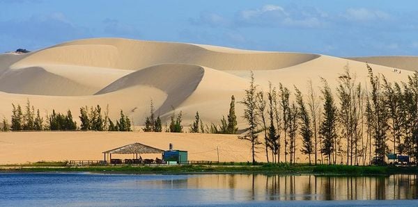 Bảng Giá Cho Thuê Xe 16 Chỗ Đi Mũi Né Phan Thiết Mới Nhất 2026